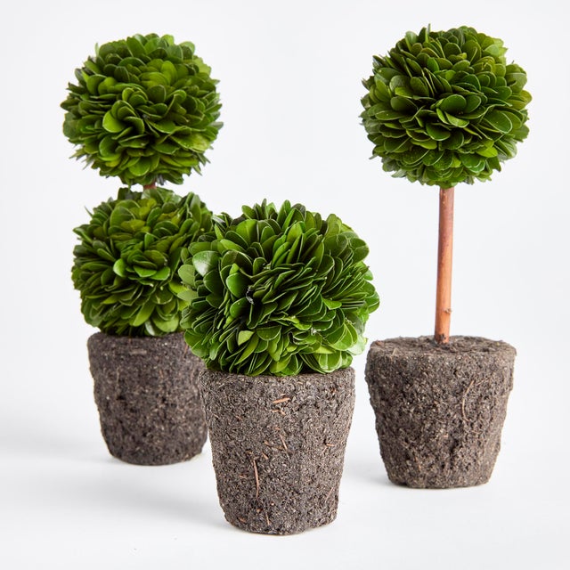 Farmhouse Boxwood Mini Topiary Drop-Ins, Set Of 3 For Sale - Image 3 of 5