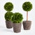 Farmhouse Boxwood Mini Topiary Drop-Ins, Set Of 3 For Sale - Image 3 of 5