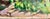 Paint Vintage Impressionist Woodsy Landscape Oil Painting For Sale - Image 7 of 8