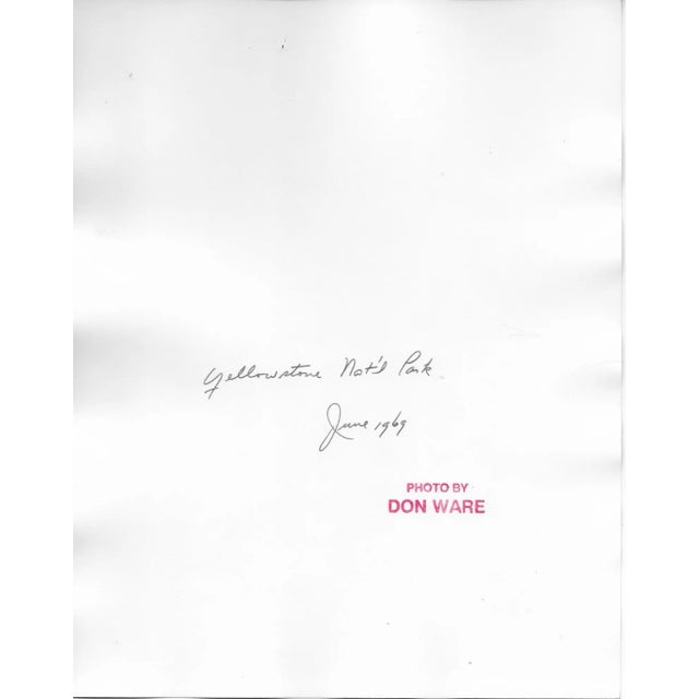 1969 black and white photograph by Los Angeles photographer Don Ware (1921-2006) of a Yellowstone National Park landscape...