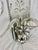 Vintage 1920 Etched Carved Mirror Sconces - Pair For Sale In West Palm - Image 6 of 12