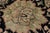 Floral Pak-Persian Black/Dark Gold Wool Rug - 10'1'' X 14'0'' For Sale In New York - Image 6 of 8