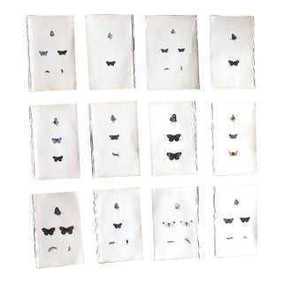 Antique 19th Century Hand Colored Butterfly Lithographs - Set of 12 For Sale