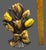 Early 20th Century Antique Cast Iron Yellow Tulip Flower Bouquet Doorstop For Sale - Image 5 of 7