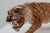 Hollywood Regency Italian Ceramic Tiger Sculpture, 1950s For Sale - Image 4 of 11