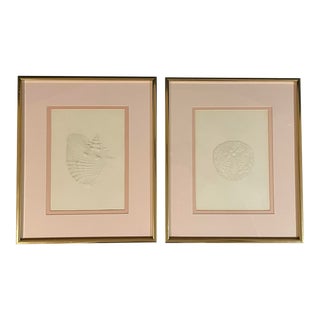 Late Twentieth Century Nautical Original Embossed Prints Featuring Conch and Sea Urchin - Set of Two For Sale