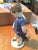 Royal Copenhagan Royal Copenhagen Boy With Teddy Bear Figurine For Sale - Image 4 of 6