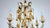 Mid-Century Modern Gilded Metal and Murano Glass Drop Chandelier, 1940s For Sale - Image 3 of 12