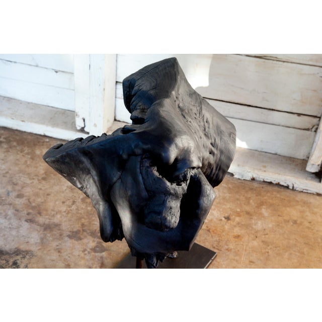 Matka Yakisugi Abstract Modern Organic Sculpture For Sale In San Antonio - Image 6 of 10