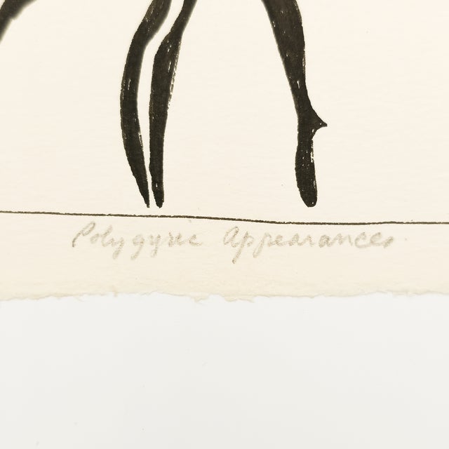 Black Polygyric Appearances - Robert Lohman, C. 1970 For Sale - Image 8 of 11