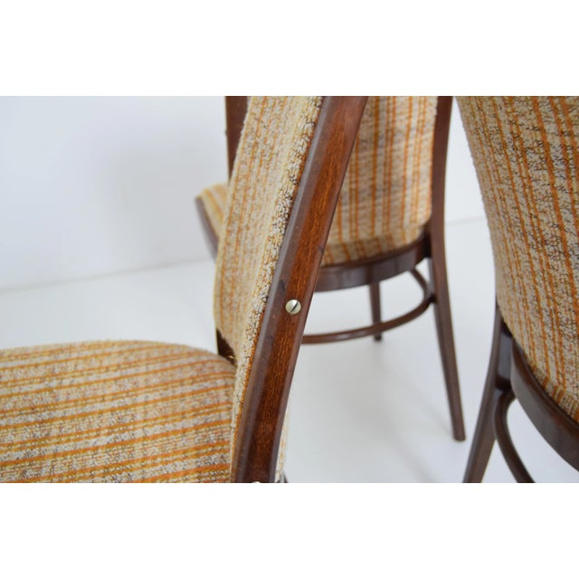 Mid-Century Chairs from Ton, 1960s, Set of 3 For Sale - Image 6 of 10