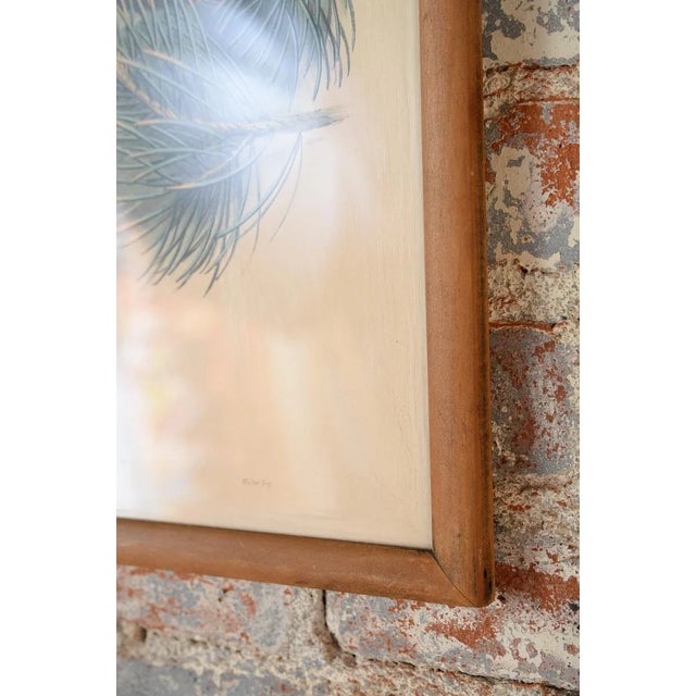 Printmaking Materials John Gould "Ciconia Nigra-Black Stork" Bird Print For Sale - Image 7 of 7