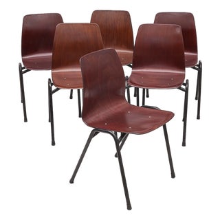 Vintage Chairs from Pagholz Flötotto, 1950s, Set of 6 For Sale