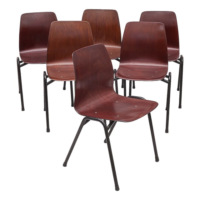 Vintage Chairs from Pagholz Flötotto, 1950s, Set of 6 For Sale