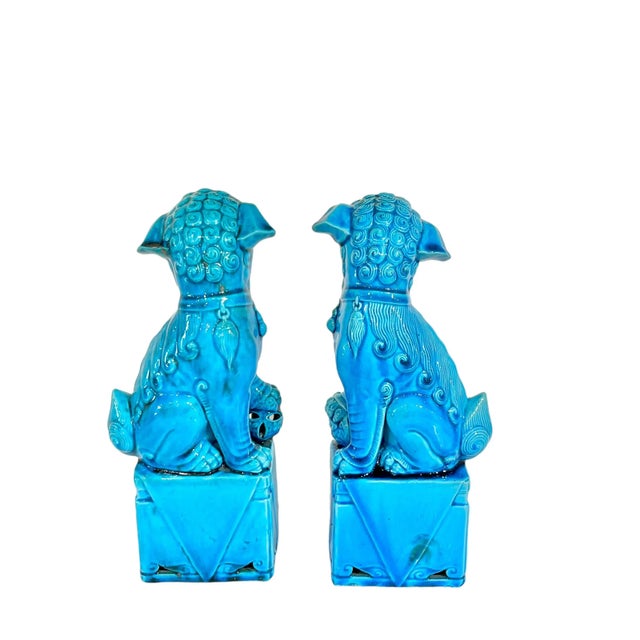 Pair larger size Chinese foo dogs. The bright turquoise blue is perfect for a pop of color. Sourced in France.