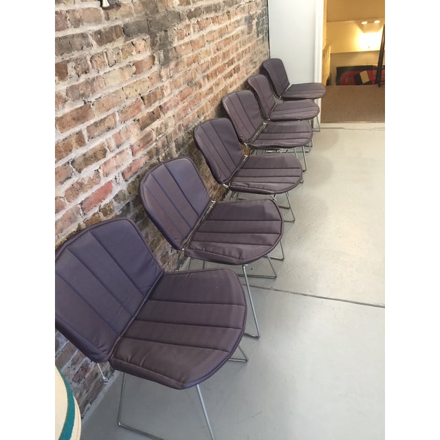 Set Six Attributed to Harry Bertoia for Knoll Wire Side Chair Mid-Century Chrome With Covers For Sale In New York - Image 6 of 10