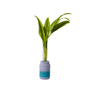 LIO Single Stem Vase by Laura-Jane Atkinson