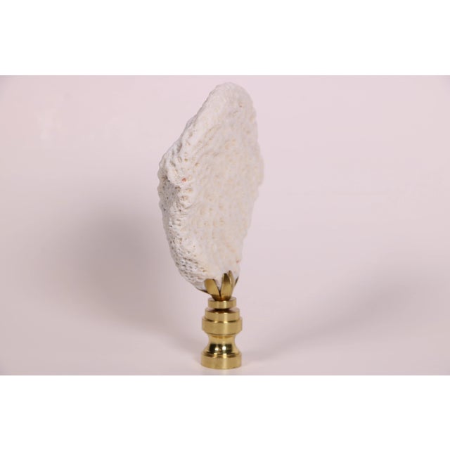 Nautical Coral Fragment Lamp Finial on Brass Hardware For Sale - Image 3 of 4