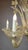Glass Italian Six-Arm Murano Chandelier, 1900s For Sale - Image 7 of 11