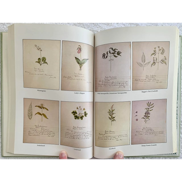 1970s 1976 Shaker Herbs: A History and a Compendium Book For Sale - Image 5 of 9
