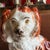 A Charming Pair of Antique Staffordshire Spaniel Dogs, Circa 1880 For Sale - Image 6 of 12