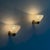 Reticello Wall Sconces attributed to Carlo Scarpa for Venini, 1940s, Set of 2 For Sale - Image 16 of 18