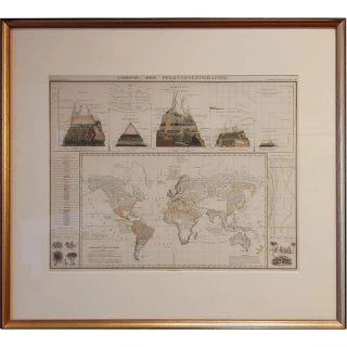 Antique Map of the Distribution of Vegetation, 1851 For Sale