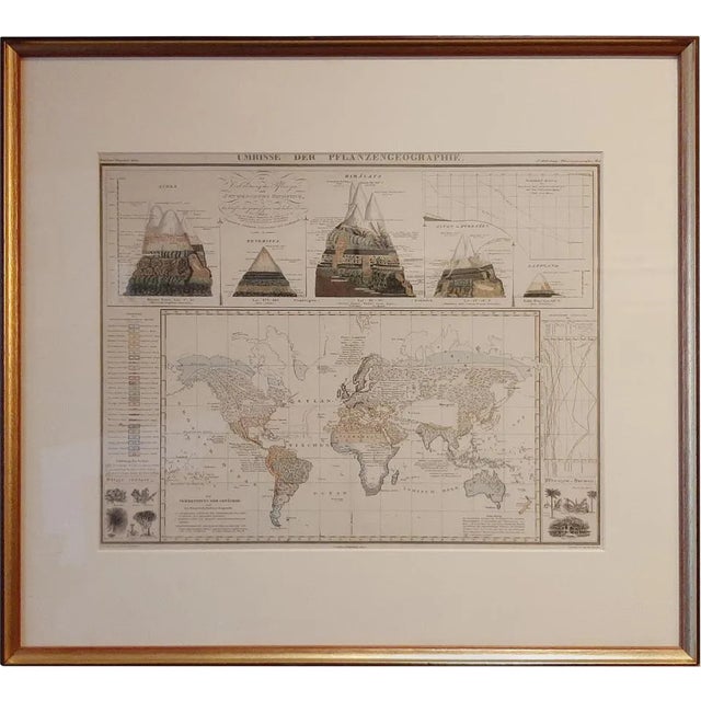 Antique Map of the Distribution of Vegetation, 1851 For Sale