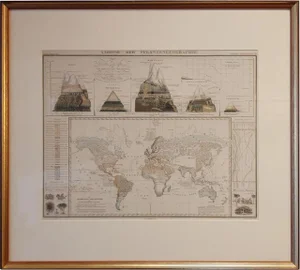 Antique Map of the Distribution of Vegetation, 1851