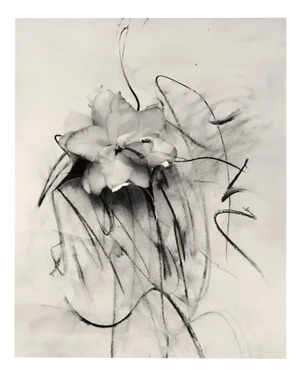 Lily in Charcoal Abstract Expressionism Photography Edition of 10 2023