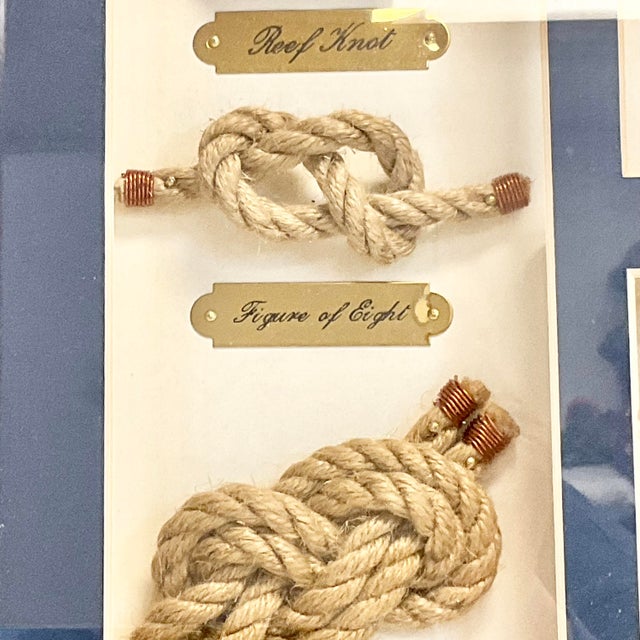 Chestnut 1980s Coastal Nautical Arts & Crafts Shadowbox, Seashells, Rope Knots & Model Ship For Sale - Image 8 of 12