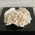 Vintage Natural Merulina White Coral Specimen For Sale - Image 11 of 13
