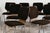 Modernist Desk Chairs by Carlo Ratti, 1970s, Set of 12 For Sale - Image 4 of 17