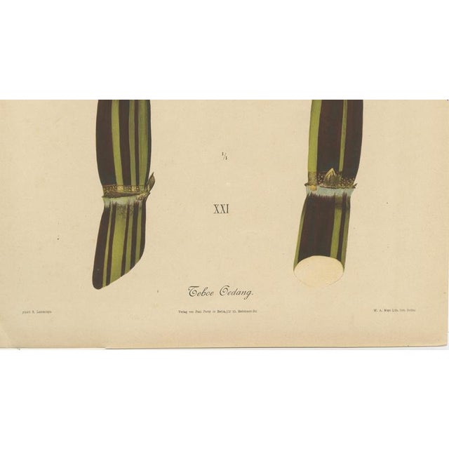 Sugarcane, 1892, Paper For Sale - Image 4 of 10