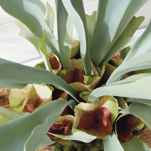 Metal Staghorn Fern Drop-In 21" For Sale - Image 7 of 7