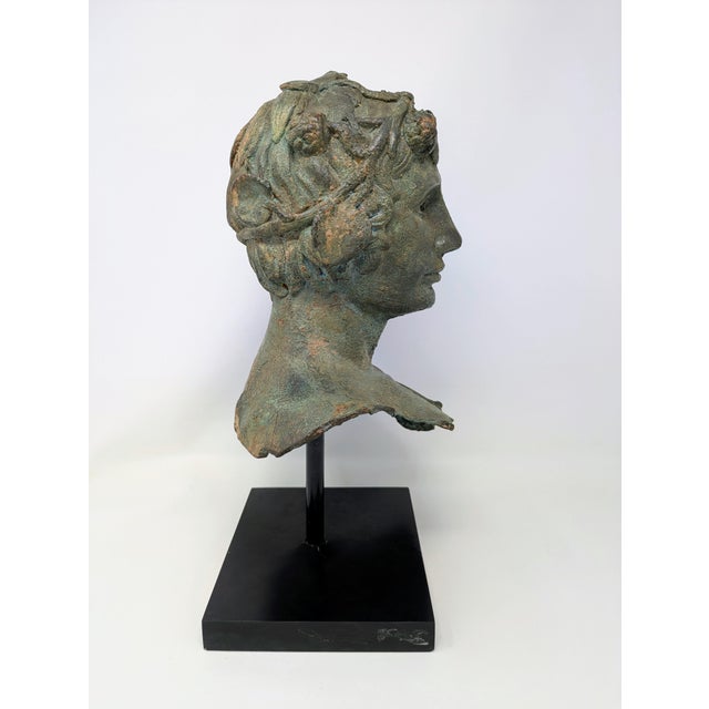Late 19th Century 19th Century Greco-Roman Bronze Bust: Bacchus/Dionysus For Sale - Image 5 of 9