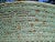 Green Late 20th Century Ribbed Pottery Planter With Green Volcanic Lava Crater Glaze For Sale - Image 8 of 18