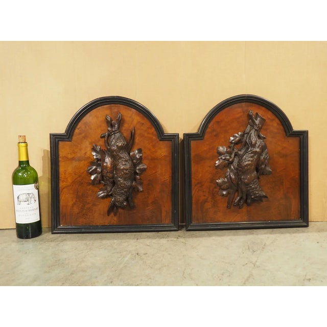 Brown Pair of Antique French Burlwood Hunt Plaques, Early 1900s For Sale - Image 8 of 12