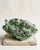 A sculptural natural Green Phantom quartz cluster selected for its deep chlorite inclusions, subtle hematoid undertones,...