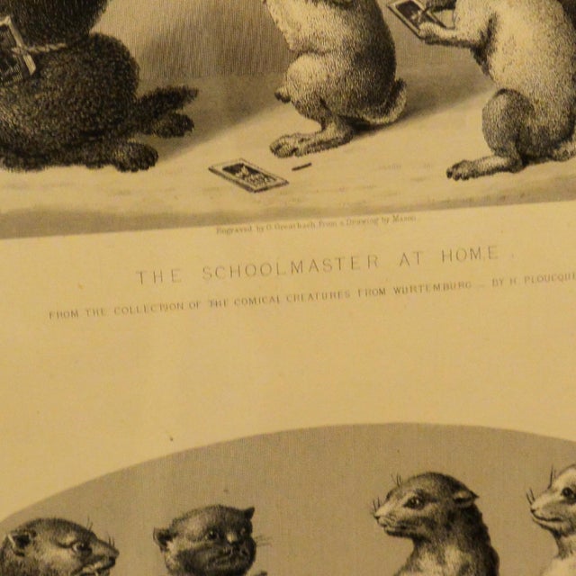 Illustration Antique Print From "The Collection of Comical Creatures From Wurtenburg" C. 1860 For Sale - Image 3 of 7