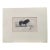 Rare 1840s Wild Sheland Pony 'Poney" Hand Colored Etching Sir William Jardine For Sale