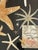 Vintage Sea Stars Collection in a Shadow Box Greeting From Florida For Sale - Image 9 of 11