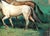 2020s Matthew Paoletti "Four Horses" Contemporary Naturalistic Equestrian Animal Painting of Horses, 2022 For Sale - Image 5 of 10