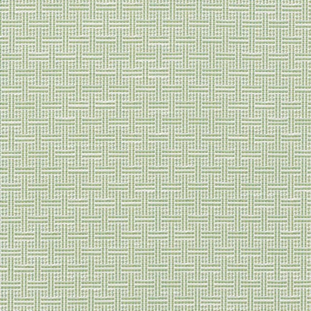 Schumacher Brickell Indoor & Outdoor Fabric in Leaf For Sale