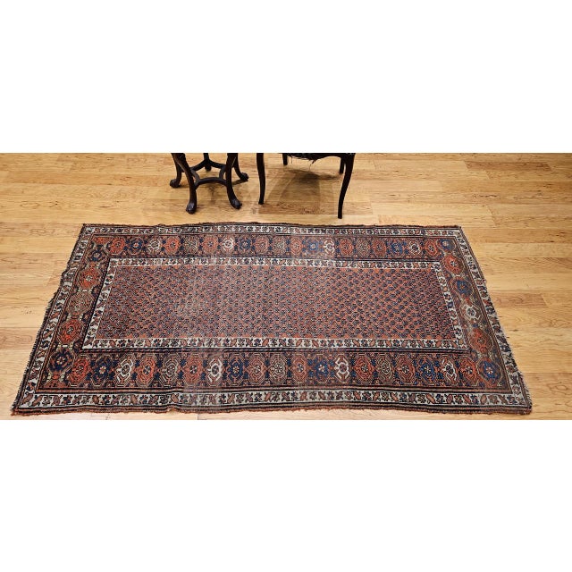 Antique Persian Kurdish Rug, Hand-Knotted Wool, All-over Paisley Pattern, Rust & Navy, 3x6 For Sale In Chicago - Image 6 of 17