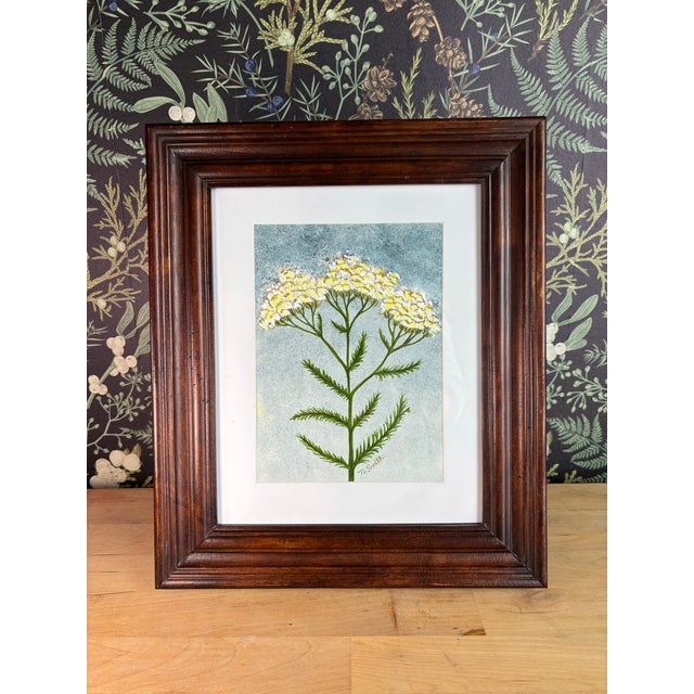 An original botanical watercolor capturing the delicate structure of yarrow in bloom. Fine brushwork and layered washes...
