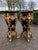 Baroque Late 20thC Italian Baroque Black Gold Pedestals – Pair For Sale - Image 3 of 14