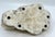 Arts & Crafts Antique Classical Marble Stone Fragment Lions Claw For Sale - Image 3 of 18