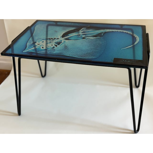 Blue Xraydio 1 Razza Side Table in Glass and Black Raw Steel by Moroso for Diesel, 2010s For Sale - Image 8 of 8