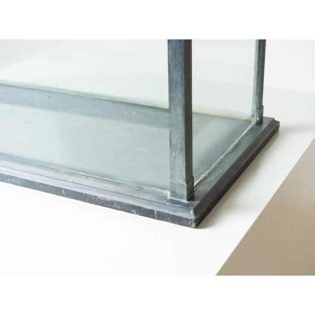 French Antique French Terrarium For Sale - Image 3 of 5